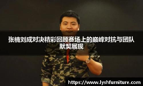 张楠刘成对决精彩回顾赛场上的巅峰对抗与团队默契展现