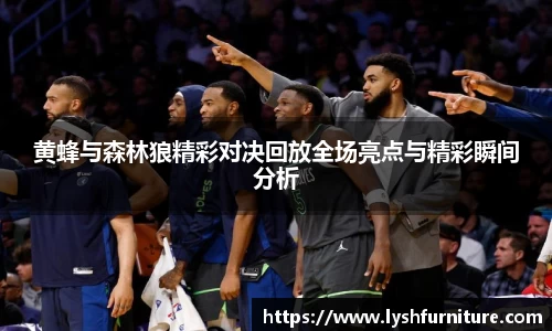 黄蜂与森林狼精彩对决回放全场亮点与精彩瞬间分析